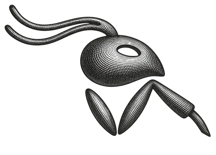 Etching ant character