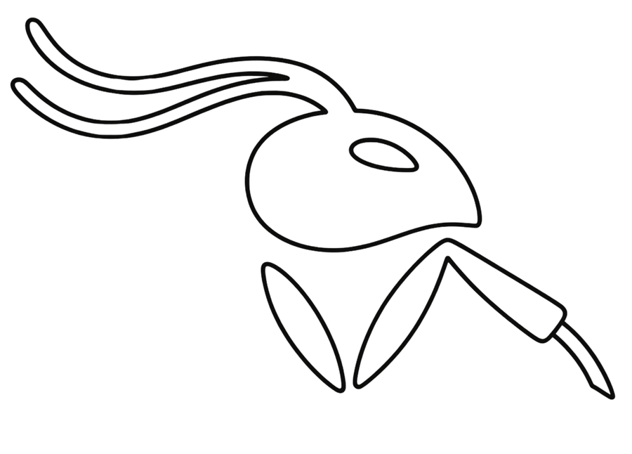 Outline ant character